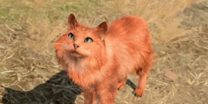 Baldur’s Gate 3 Player Reveals the Perks of Being a Cat Throughout the Game