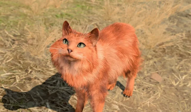 Baldur’s Gate 3 Player Reveals the Perks of Being a Cat Throughout the Game