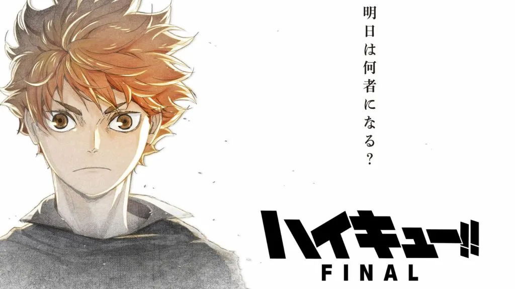 Haikyuu!! final visual