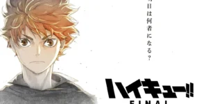 The movie Haikyu!! does it have a cinema release date in France?