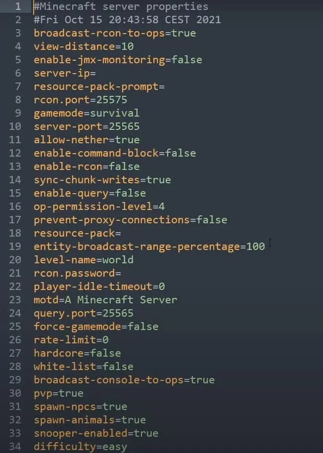 Minecraft server setting