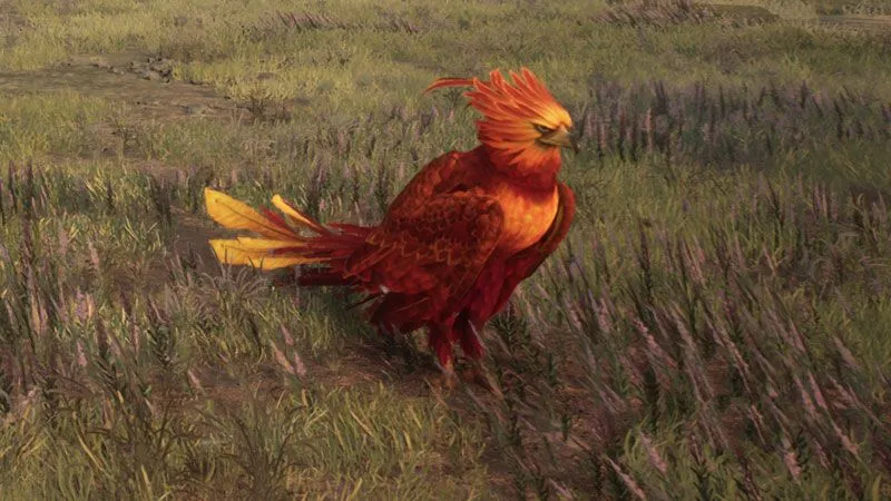 Phoenix in Hogwarts Legacy