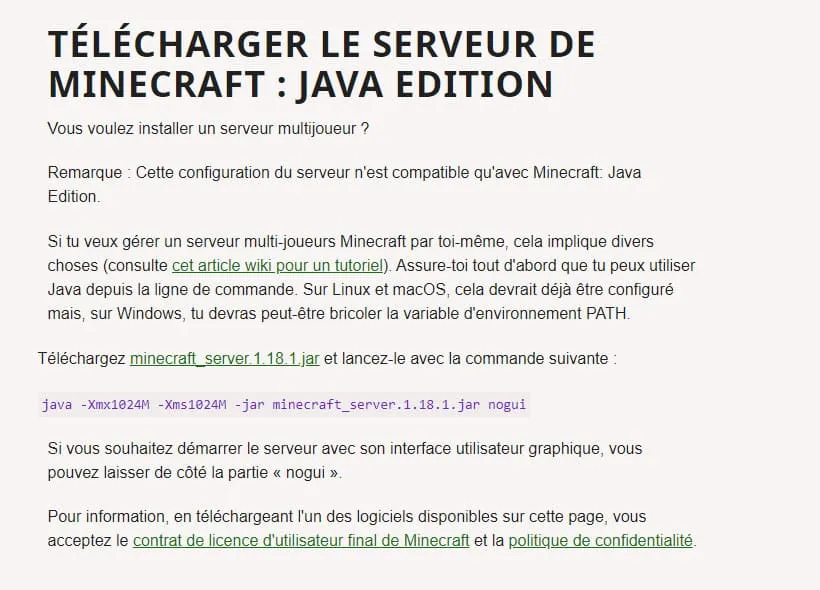 Minecraft Java Server